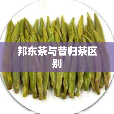 邦东茶与昔归茶区别