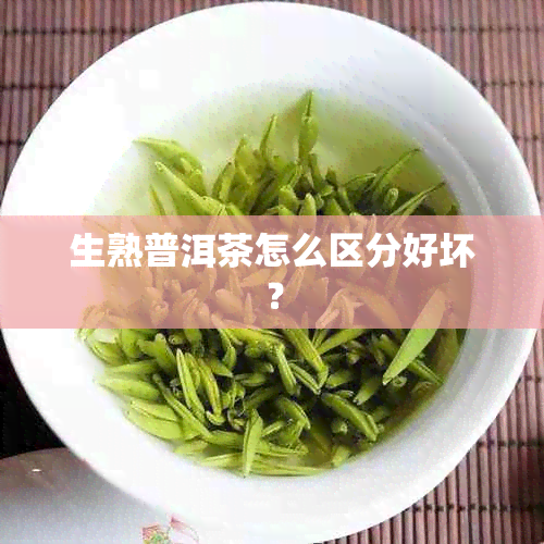 生熟普洱茶怎么区分好坏？