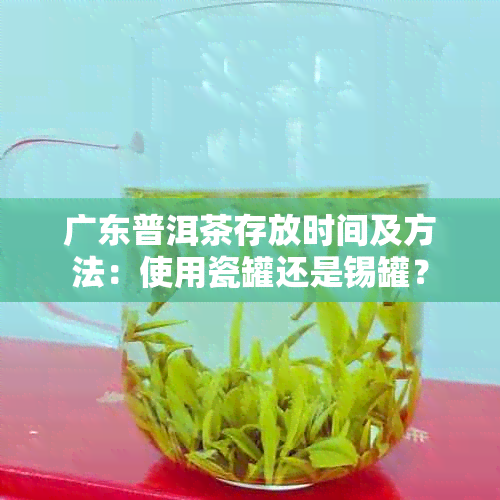 广东普洱茶存放时间及方法：使用瓷罐还是锡罐？