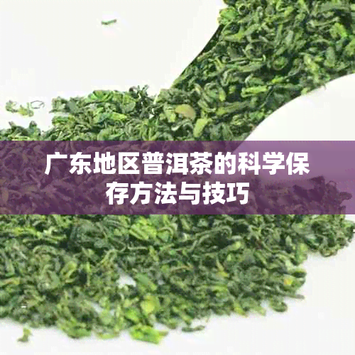 广东地区普洱茶的科学保存方法与技巧