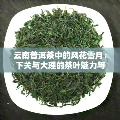 云南普洱茶中的风花雪月：下关与大理的茶叶魅力与价格分析