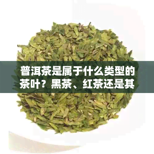 普洱茶是属于什么类型的茶叶？黑茶、红茶还是其他类型？