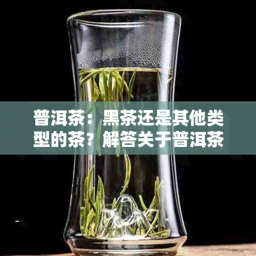 普洱茶：黑茶还是其他类型的茶？解答关于普洱茶分类的疑问