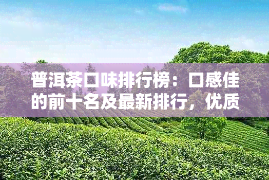 普洱茶口味排行榜：口感佳的前十名及最新排行，优质普洱茶盘点