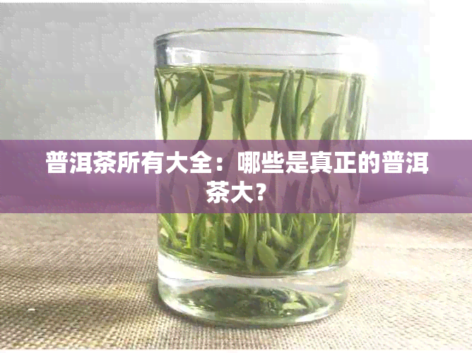 普洱茶所有大全：哪些是真正的普洱茶大？