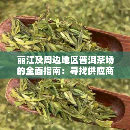 丽江及周边地区普洱茶场的全面指南：寻找供应商和购物体验