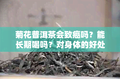 菊花普洱茶会致癌吗？能长期喝吗？对身体的好处和禁忌有哪些？