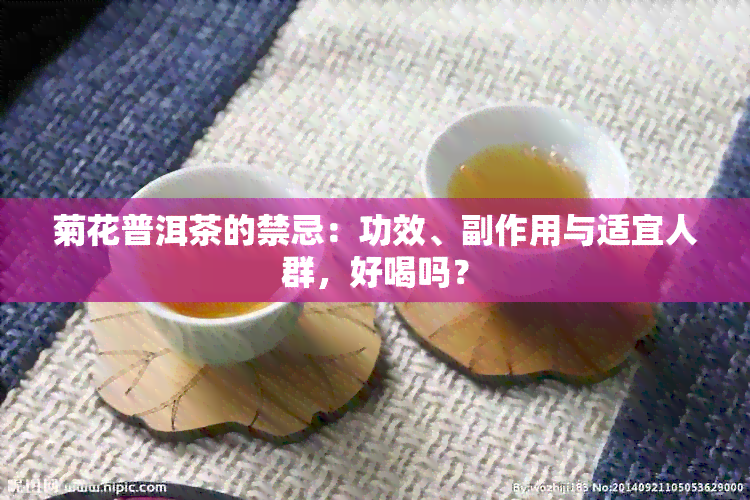 菊花普洱茶的禁忌：功效、副作用与适宜人群，好喝吗？