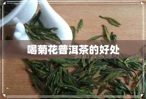 喝菊花普洱茶的好处