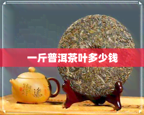 一斤普洱茶叶多少钱