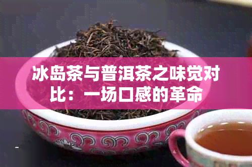 冰岛茶与普洱茶之味觉对比：一场口感的革命