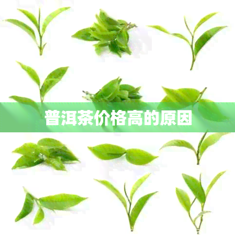 普洱茶价格高的原因