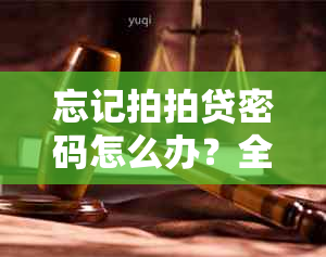 忘记拍拍贷密码怎么办？全面解决用户找回密码及相关问题的指南