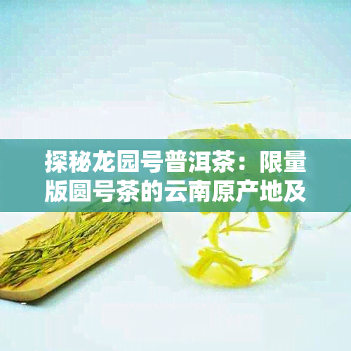 探秘龙园号普洱茶：限量版圆号茶的云南原产地及独特魅力价格分析