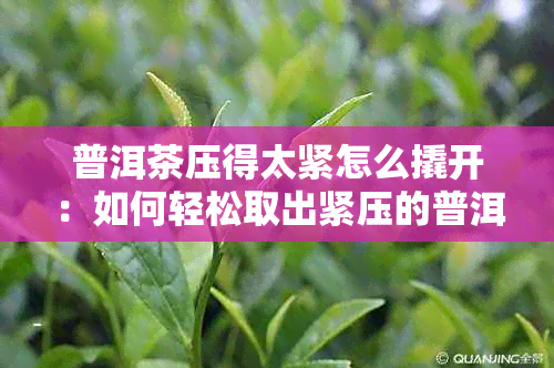 普洱茶压得太紧怎么撬开：如何轻松取出紧压的普洱茶