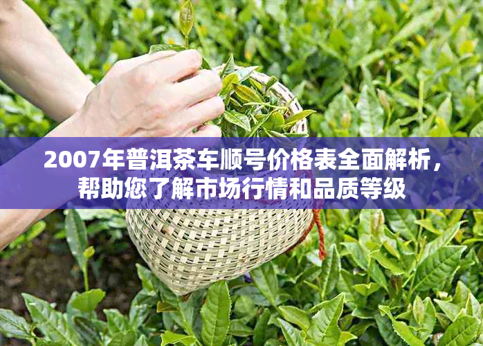 2007年普洱茶车顺号价格表全面解析，帮助您了解市场行情和品质等级