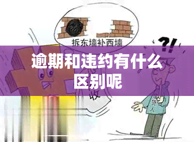 逾期和违约有什么区别呢