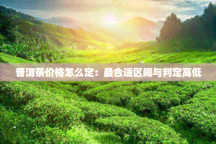 普洱茶价格怎么定：最合适区间与判定高低