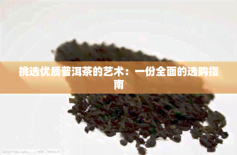 挑选优质普洱茶的艺术：一份全面的选购指南