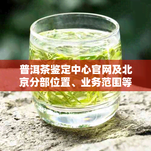 普洱茶鉴定中心官网及北京分部位置、业务范围等信息。