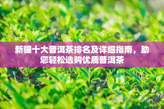 新疆十大普洱茶排名及详细指南，助您轻松选购优质普洱茶