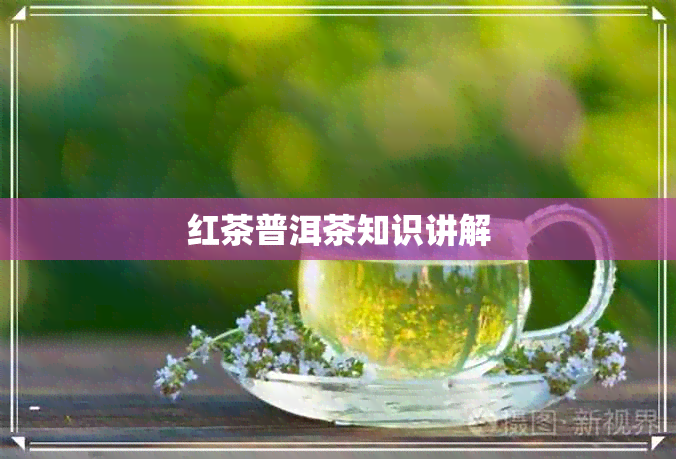 红茶普洱茶知识讲解