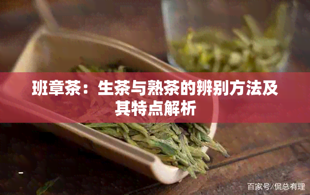 班章茶：生茶与熟茶的辨别方法及其特点解析