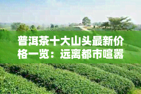 普洱茶十大山头最新价格一览：远离都市喧嚣，品味静生活