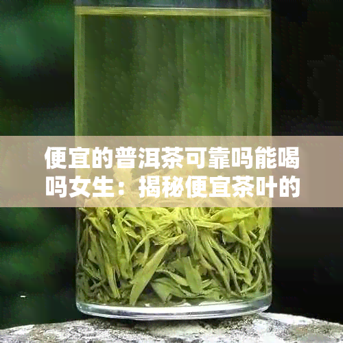 便宜的普洱茶可靠吗能喝吗女生：揭秘便宜茶叶的真实面目与品质风险