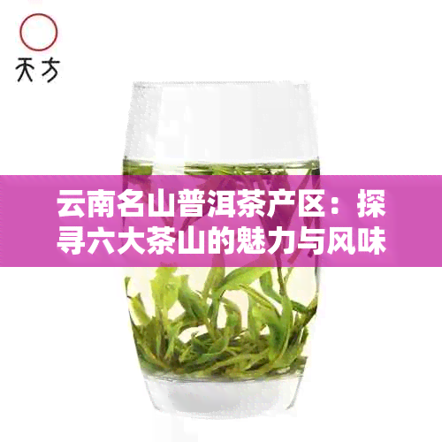 云南名山普洱茶产区：探寻六大茶山的魅力与风味