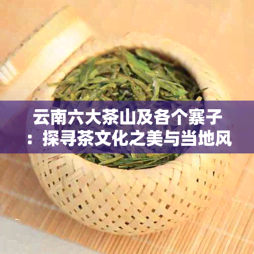 云南六大茶山及各个寨子：探寻茶文化之美与当地风土人情