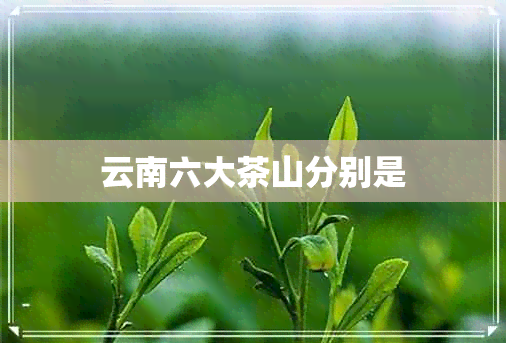 云南六大茶山分别是