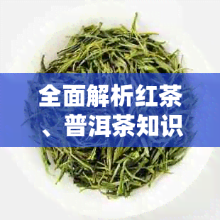 全面解析红茶、普洱茶知识：从原料、制作到品鉴，解答用户所有疑问