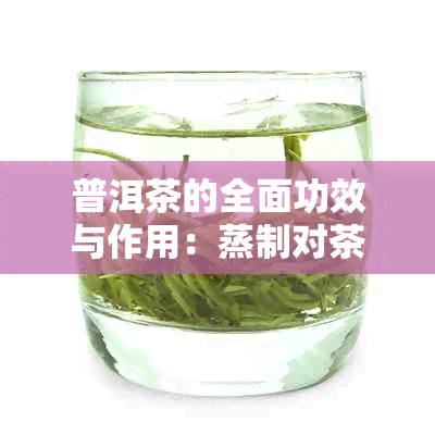 普洱茶的全面功效与作用：蒸制对茶叶的影响及如何选择合适的蒸茶方法