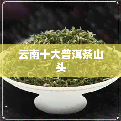 云南十大普洱茶山头