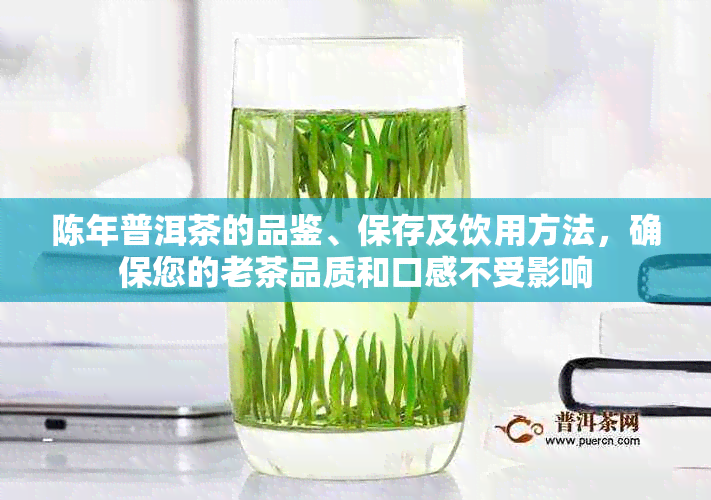 陈年普洱茶的品鉴、保存及饮用方法，确保您的老茶品质和口感不受影响