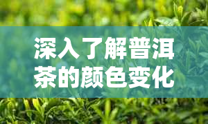 深入了解普洱茶的颜色变化：如何判断是否被染色？