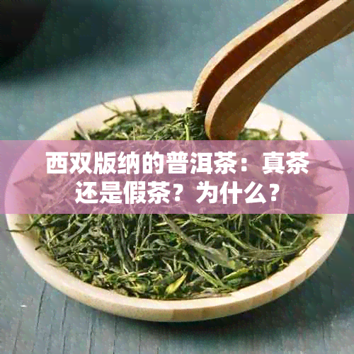 西双版纳的普洱茶：真茶还是假茶？为什么？