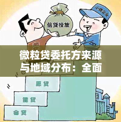 微粒贷委托方来源与地域分布：全面解析与比较，帮助用户了解各地微粒贷情况