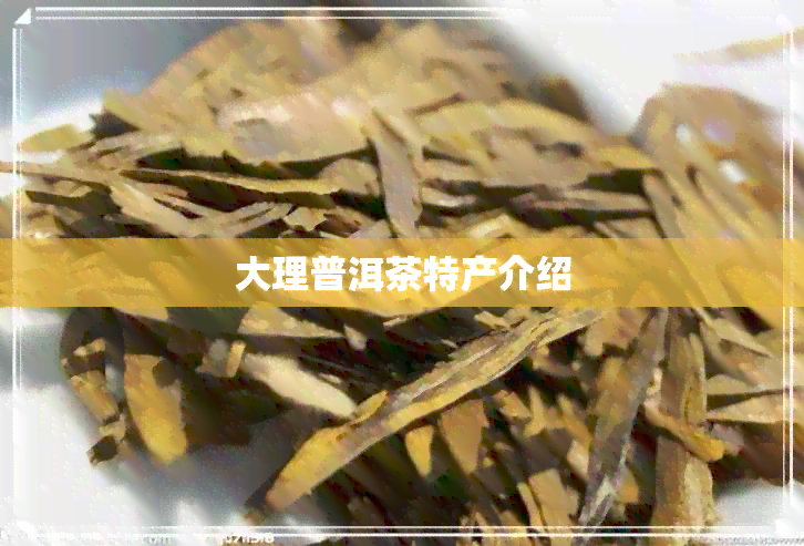 大理普洱茶特产介绍