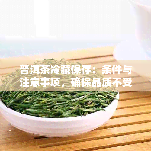 普洱茶冷藏保存：条件与注意事项，确保品质不受影响