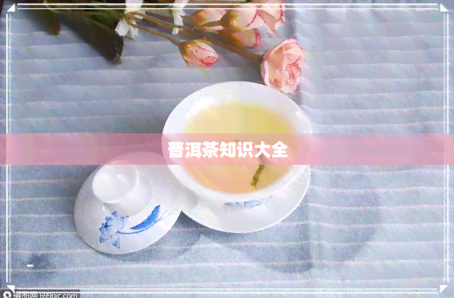 普洱茶知识大全