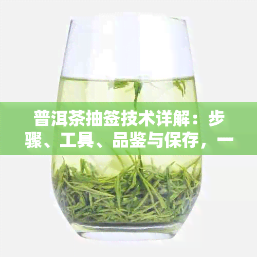 普洱茶抽签技术详解：步骤、工具、品鉴与保存，一篇解决您的所有疑问