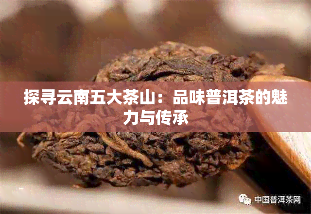 探寻云南五大茶山：品味普洱茶的魅力与传承