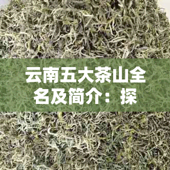 云南五大茶山全名及简介：探究这些著名茶叶产区的历和特色