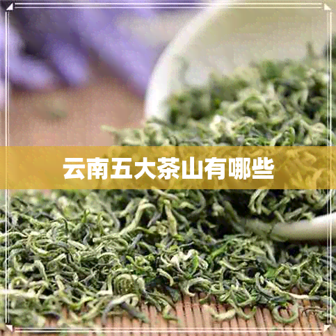 云南五大茶山有哪些