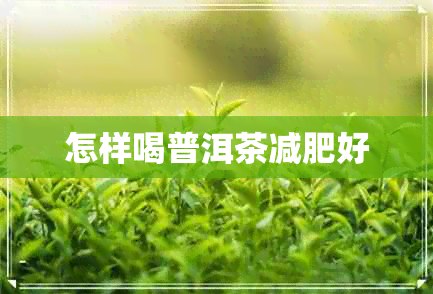 怎样喝普洱茶减肥好