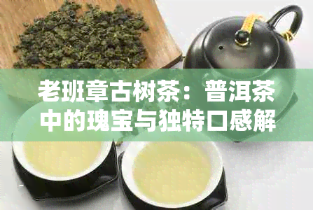 老班章古树茶：普洱茶中的瑰宝与独特口感解析