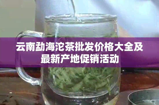 云南勐海沱茶批发价格大全及最新产地促销活动