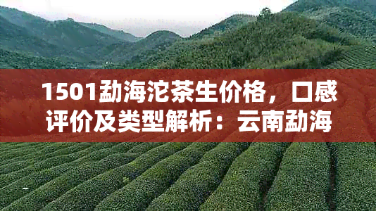 1501勐海沱茶生价格，口感评价及类型解析：云南勐海沱茶厂官网全方位解读